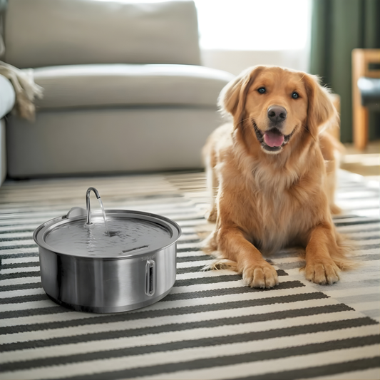 HydraPaw™ - Zorg dat je hond écht gehydrateerd blijft, zonder meer te drinken