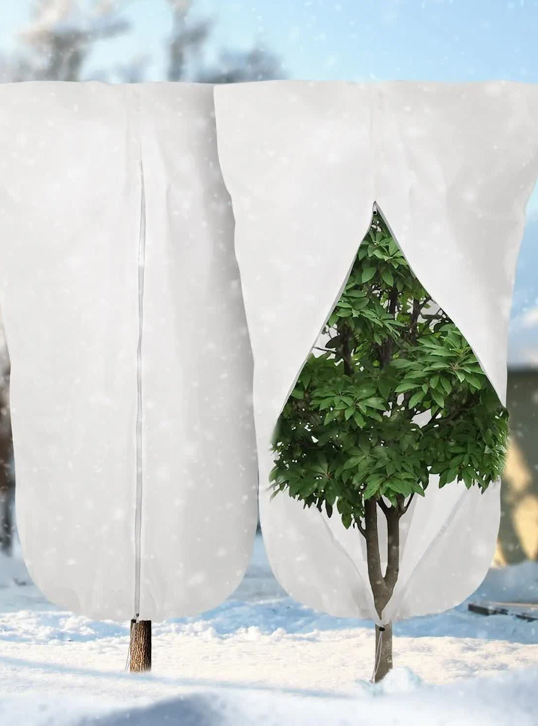 Witte Olvera plantenhoezen om twee bomen in de sneeuw, rits over de volle hoogte