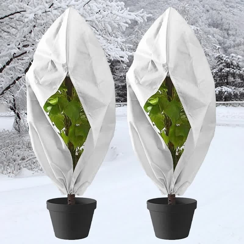Twee ingepakte potplanten in de sneeuw