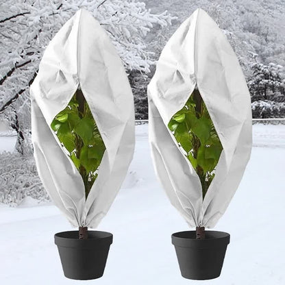 Twee ingepakte potplanten in de sneeuw