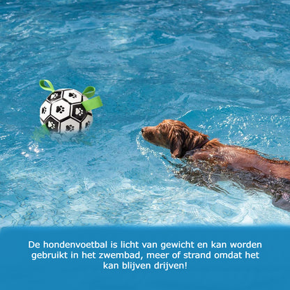 High-End Interactieve Hondenvoetbal: Slim Spelen en Trainen in Stijl